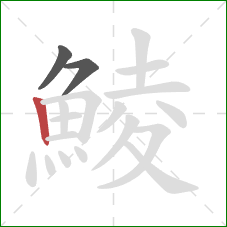 鯪的笔顺第3画：竖