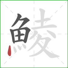 鯪的笔顺第8画：点