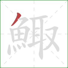 鯫的笔顺第1画：撇