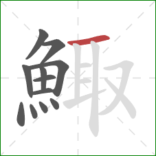 鯫的笔顺第12画：横