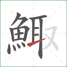 鯫的笔顺第17画：提