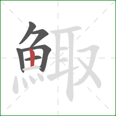 鯫的笔顺第6画：竖