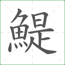 鯷的笔顺 鯷的笔顺