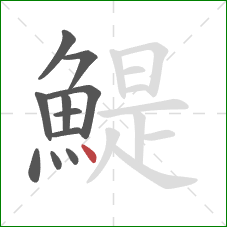 鯷的笔顺第11画:点 鯷的笔顺第11画:点