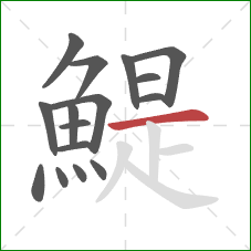 鯷的笔顺第16画:横 鯷的笔顺第16画:横