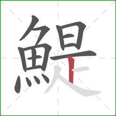 鯷的笔顺第17画:竖 鯷的笔顺第17画:竖