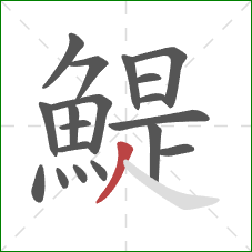 鯷的笔顺第19画:撇 鯷的笔顺第19画:撇