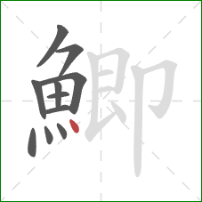 鯽的笔顺第11画：点