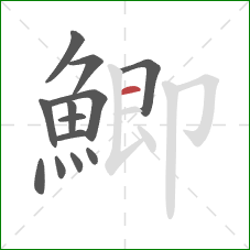 鯽的笔顺第13画：横