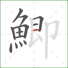 鯽的笔顺第14画：横