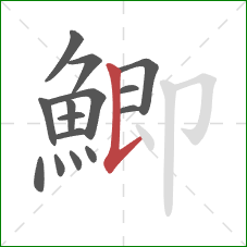 鯽的笔顺第15画：竖提