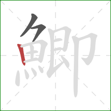 鯽的笔顺第3画：竖
