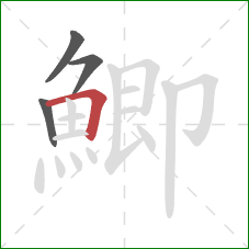 鯽的笔顺第4画：横折