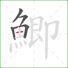 鯽的笔顺第5画：横