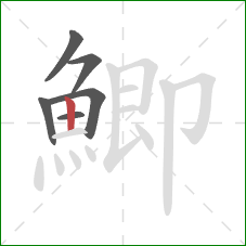 鯽的笔顺第6画：竖