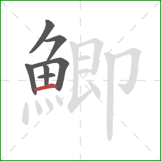鯽的笔顺第7画：横