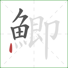 鯽的笔顺第8画：点