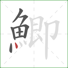 鯽的笔顺第9画：点