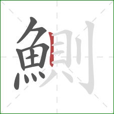 鰂的笔顺第12画：竖