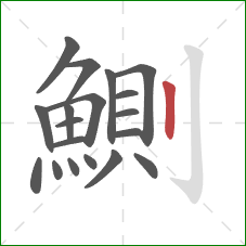 鰂的笔顺第19画：竖