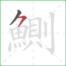 鰂的笔顺第2画：横撇