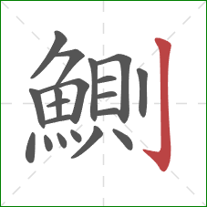 鰂的笔顺第20画：竖钩