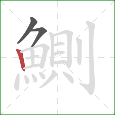 鰂的笔顺第3画：竖