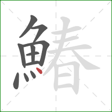 鰆的笔顺第11画：点