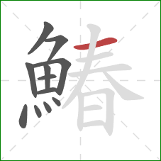 鰆的笔顺第12画：横