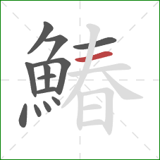 鰆的笔顺第13画：横