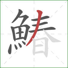 鰆的笔顺第15画：撇