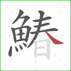 鰆的笔顺第16画：捺