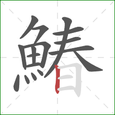 鰆的笔顺第17画：竖