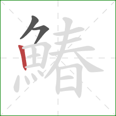 鰆的笔顺第3画：竖