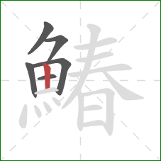 鰆的笔顺第6画：竖