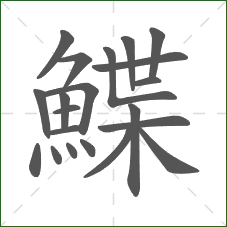 鰈的笔顺