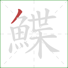 鰈的笔顺第1画：撇