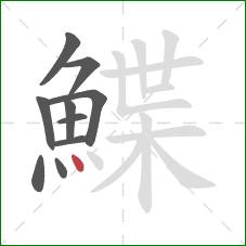 鰈的笔顺第10画：点