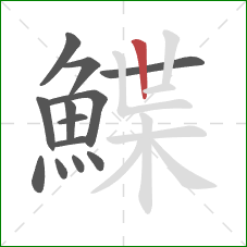 鰈的笔顺第13画：竖