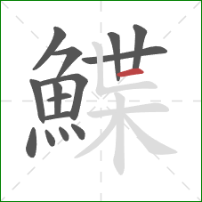 鰈的笔顺第15画：横