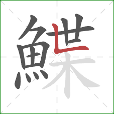 鰈的笔顺第16画：竖折