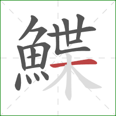 鰈的笔顺第17画：横