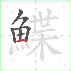 鰈的笔顺第7画：横