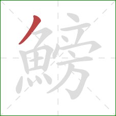 鰟的笔顺第1画：撇