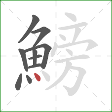鰟的笔顺第10画：点