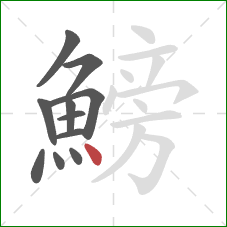 鰟的笔顺第11画：点