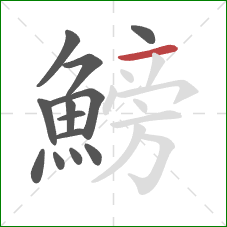 鰟的笔顺第13画：横