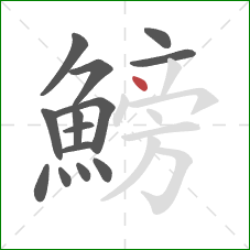 鰟的笔顺第14画：点