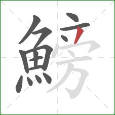 鰟的笔顺第15画：撇