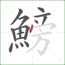 鰟的笔顺第16画：点